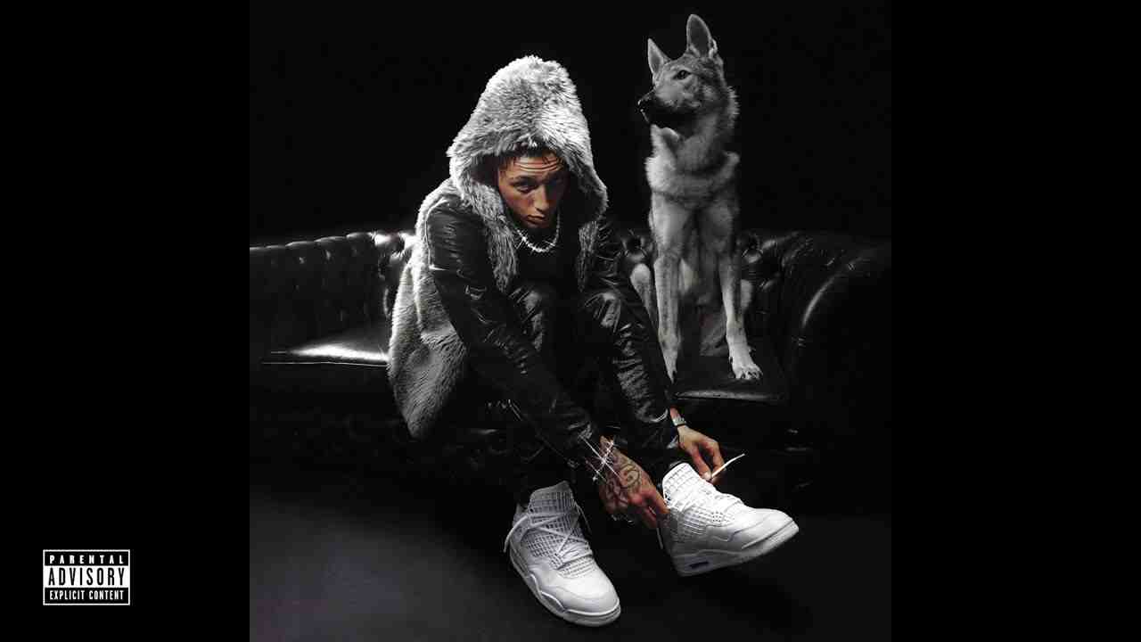 MANESKIN MELODIA Lyrics English Translation – Nabi | DIAMANTE